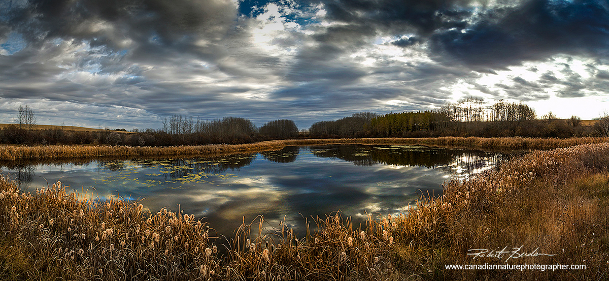 Pond in the Irricana area east of Calgary (panoramic photo). by Robert Berdan ©