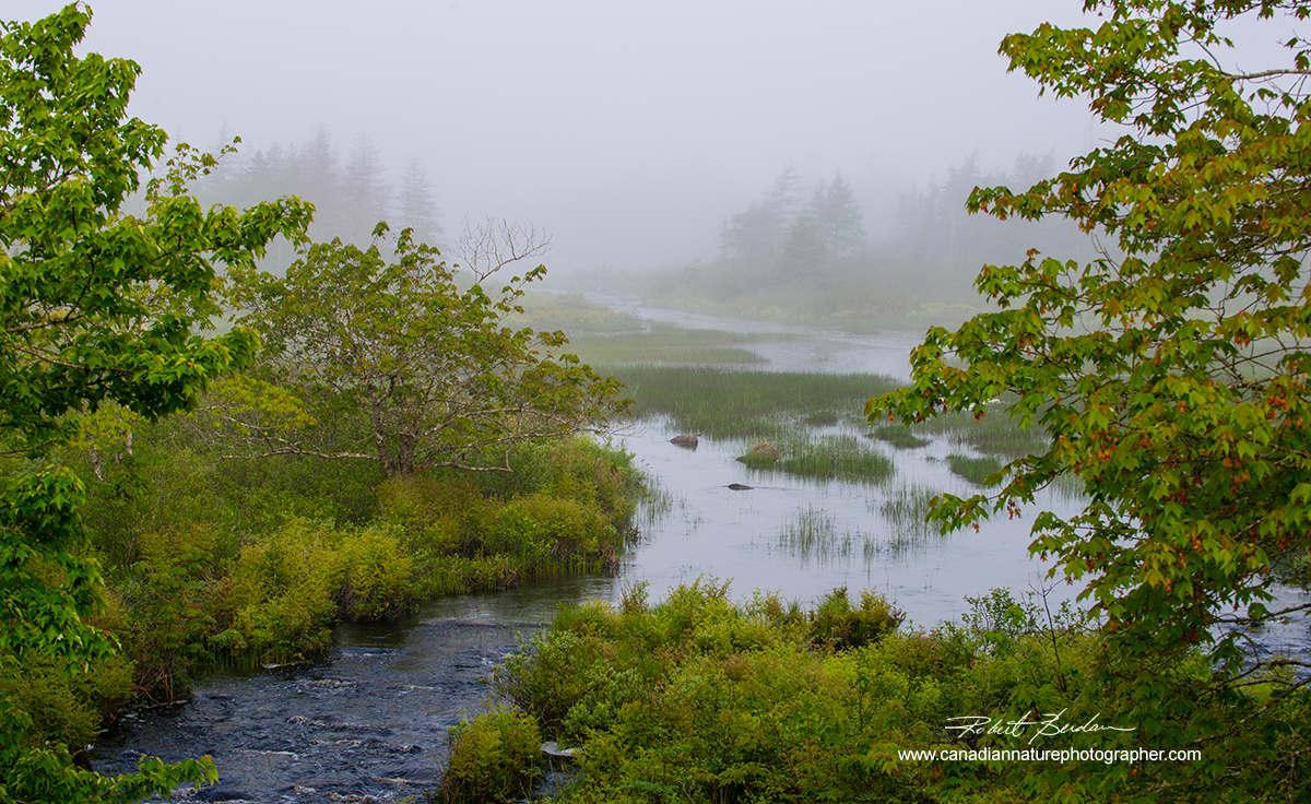 Creek flowing into a marsh-Nova Scotia Robert Berdan ©
