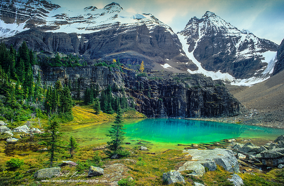 Alpine pond in Lake O'hara area of British Columbia by Robert Berdan ©