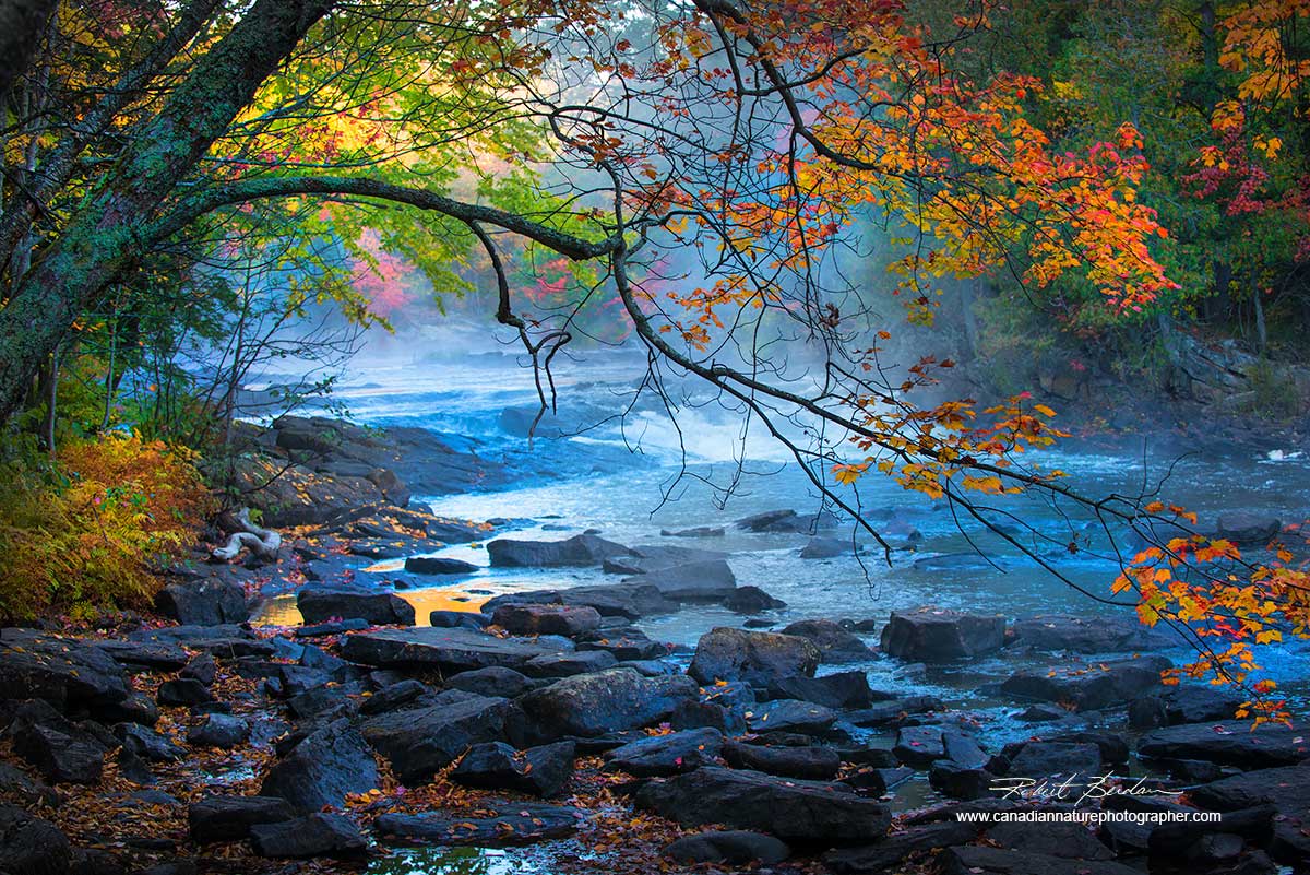 Oxtongue river Ontario in autumn by Robert Berdan ©