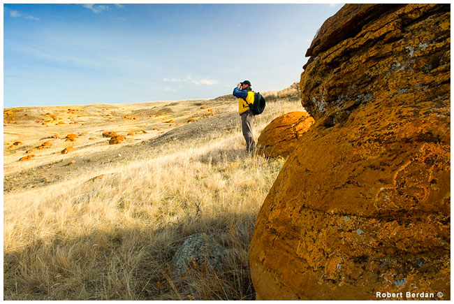 Robert Berdan peers across the coulee at the boulder field, Red Rock Coulee by R. Berdan ©