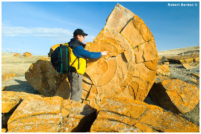 Robert Berdan pointing out layers in a split concretion Red Rock Coulee - R. Berdan ©