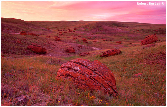 Field of Red Rocks before sunrise Red Rock Coulee by Robert Berdan ©