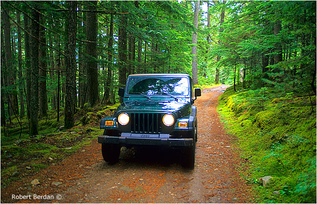 Road to Begbie creek by Robert Berdan &copy;
