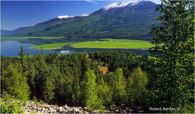 Overlooking Mulvehill creek and the arrow lakes by Robert Berdan 