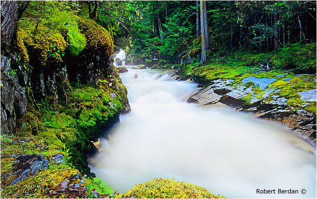 Upper Mulvehill creek by Robert Berdan &copy;