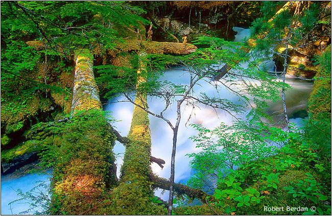 Begbie creek by Robert Berdan &copy;