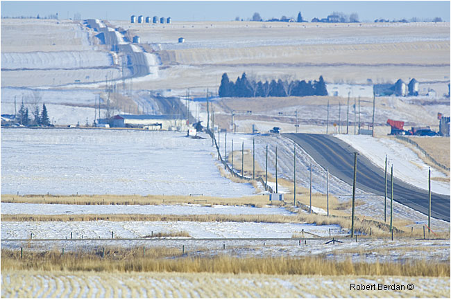 Highway east of Mossleigh showing telephone poles that snowy owls like to perch on by Robert Berdan ©