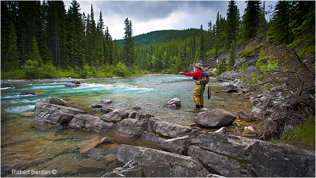 Fly fising the Elbow river by Robert Berdan ©