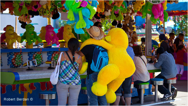 Win Prizes at the Calgary Stampede by Robert Berdan ©