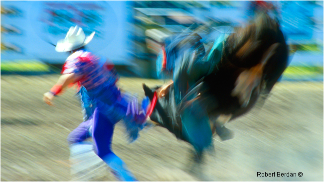 Rodeo Clown and bull rider Cochrane Rodeo by Robert Berdan ©