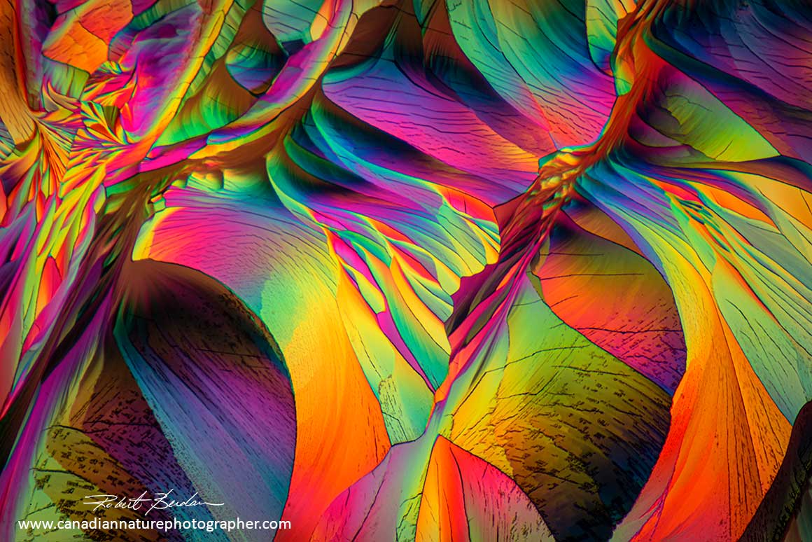 Stoneleigh Chardonnay crystals by polarizing light microscopy 50X by Robert Berdan ©