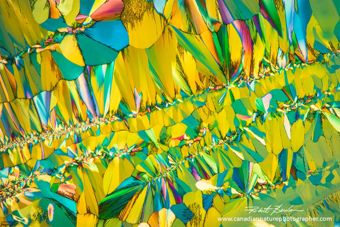 Stoneleigh Riesling crystals by polarized light microscopy 50X by Robert Berdan ©