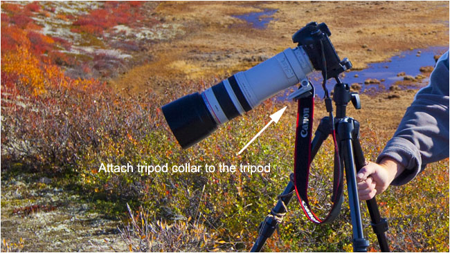 How not to attach your lens to your tripod by R. Berdan