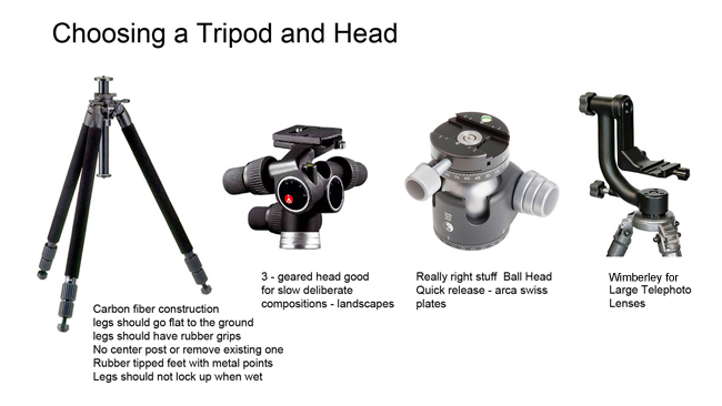 Carbon fiber tripod and various tripod heads by R. Berdan 