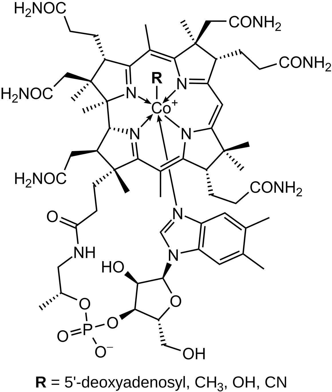 Vitamin B12 molecular structure 