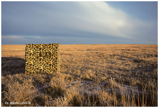 Photo blind on the prairie