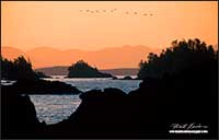 Sunrise over Broken Islands from Uclulet by Robert Berdan