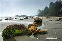 Long Beach near Toffino Vancouver Island British Columbia by Robert Berdan