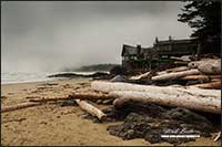 Wickaninnish center Pacific Rim National Park by Robert Berdan