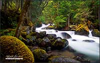 Creek near Pemberton British Columbia by Robert Berdan