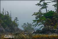 Outer islands off coast of British Columbia by Robert Berdan