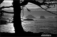 Sunrise Ucluelet Vancouver Island -black and white photo Robert Berdan