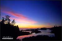 Sunset Wild Pacific Trail Ucluelet Bitish Columbia by Robert Berdan