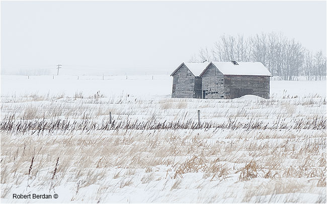 Old storage sheds in winter field by Robert Berdan ©